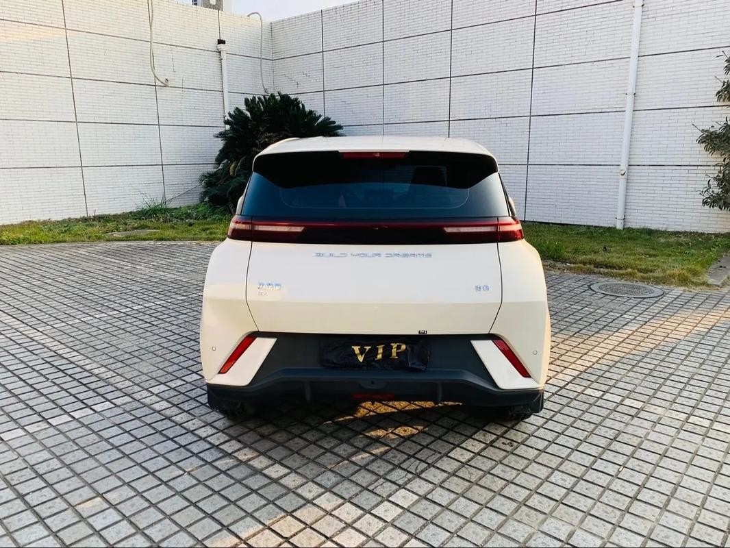 Byd Seagull 2024 Honor Edition 305km Ücretsiz Sürüm Elektrikli Araba Yeni Enerji Araçları