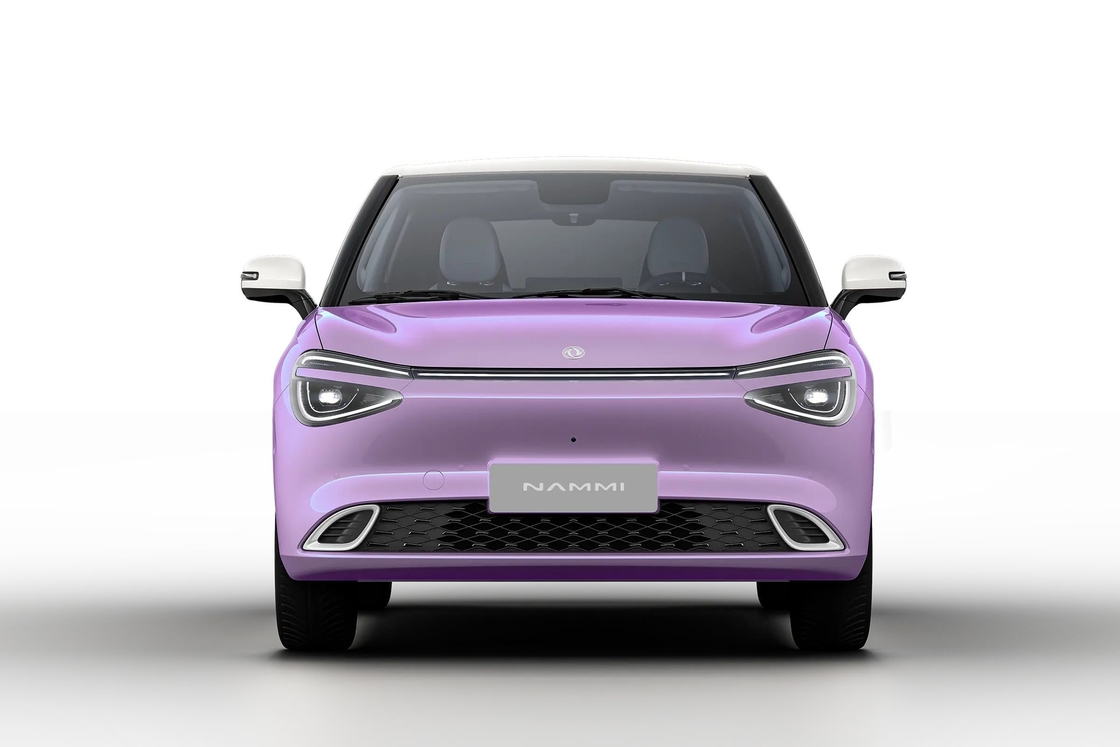 2024 Yeni Geliş Küçük Elektrikli Araç EV Dongfeng kutusu Nammi 01 330km RHD Nano 01 Garanti ile Sağ El Sürücü Araç